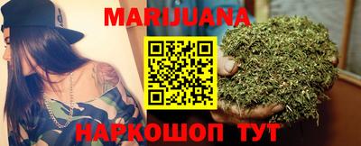 прущие грибы Бердск