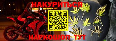 прущие грибы Бердск