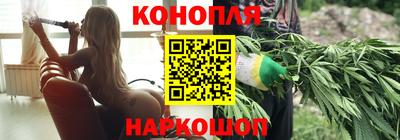 прущие грибы Бердск