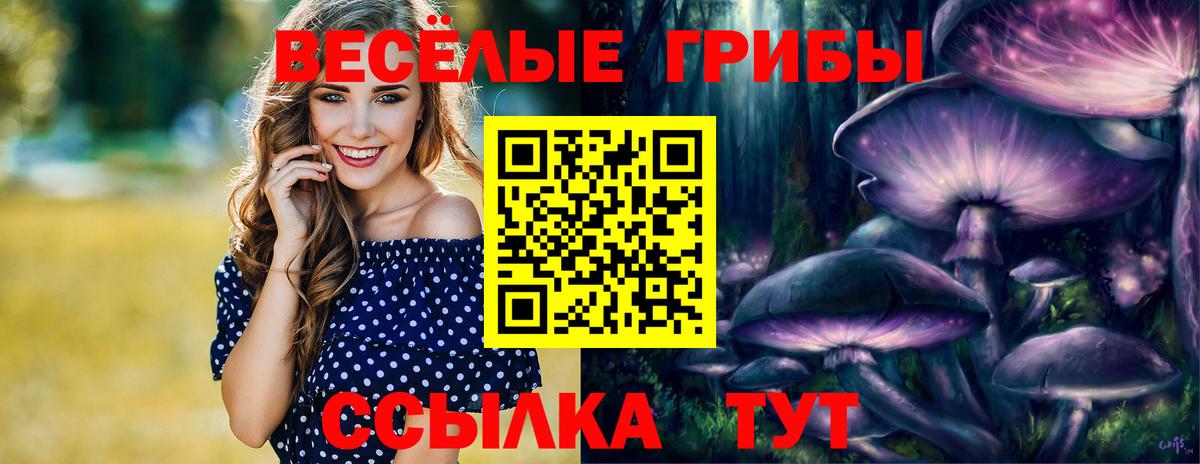 Псилоцибиновые грибы Magic Shrooms  Вход с VPN  Ставрополь 